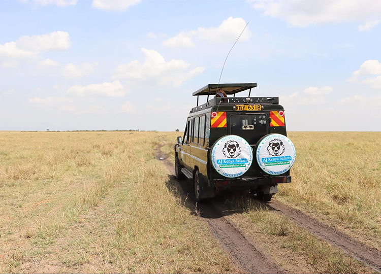 12-days-kenya-tanzania-wildlife-safari