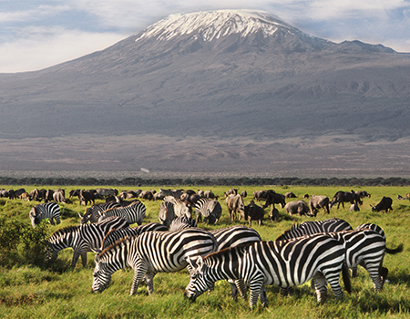 2-days-amboseli-national-park-safari