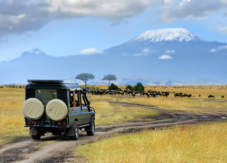 3-days-masai-mara-game-reserve-safari