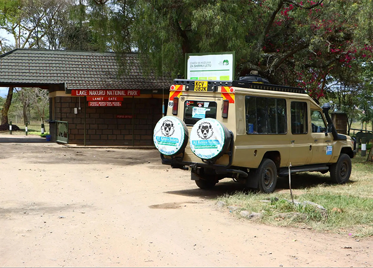4-days-masai-mara-lake-nakuru-national-park-safari-2