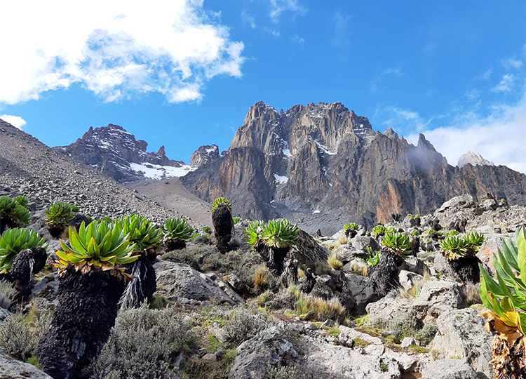 4-days-mount-kenya-climbing-naro-moru-route