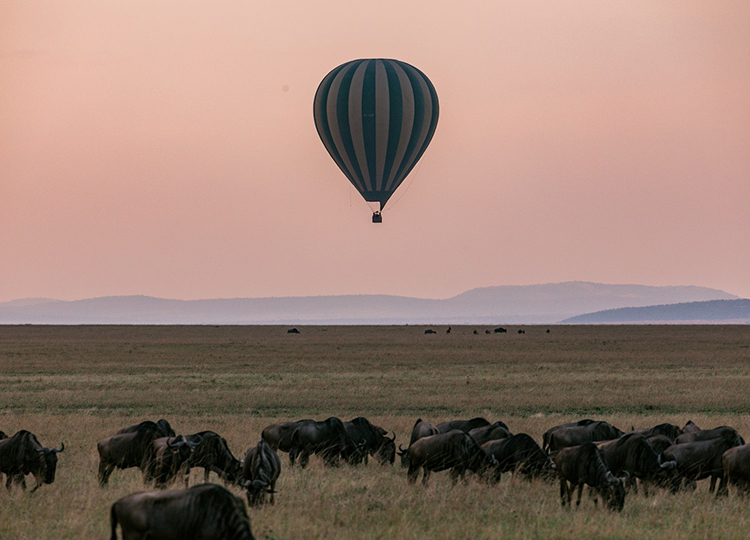 5-days-amboseli-lake-naivasha-masai-mara-safari