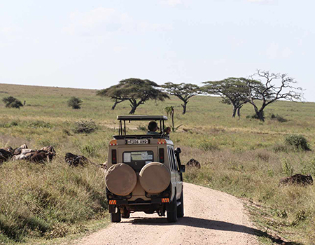 6-days-best-of-tanzania-adventure-safari