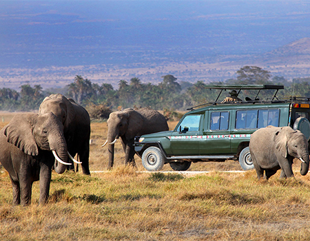 7-days-lake-nakuru-masai-mara-serengeti-ngorongoro-crater-safari