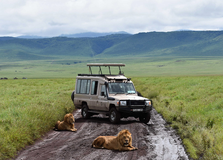 8-days-masai-mara-lake-nakuru-serengeti-ngorongoro-crater-safari