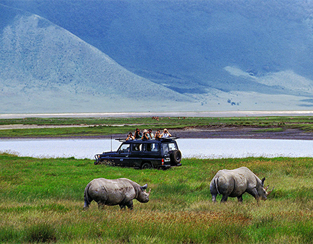 8-days-masai-mara-lake-nakuru-serengeti-ngorongoro-crater-safari